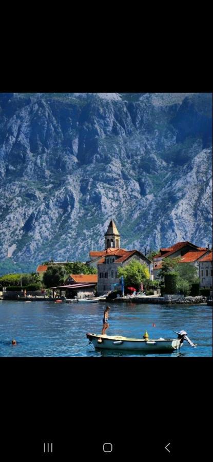 Apartmani Markovic Kotor Kültér fotó