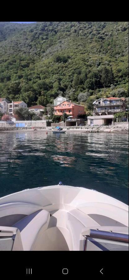 Apartmani Markovic Kotor Kültér fotó