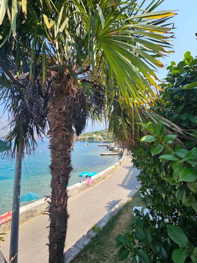 Apartmani Markovic Kotor Kültér fotó